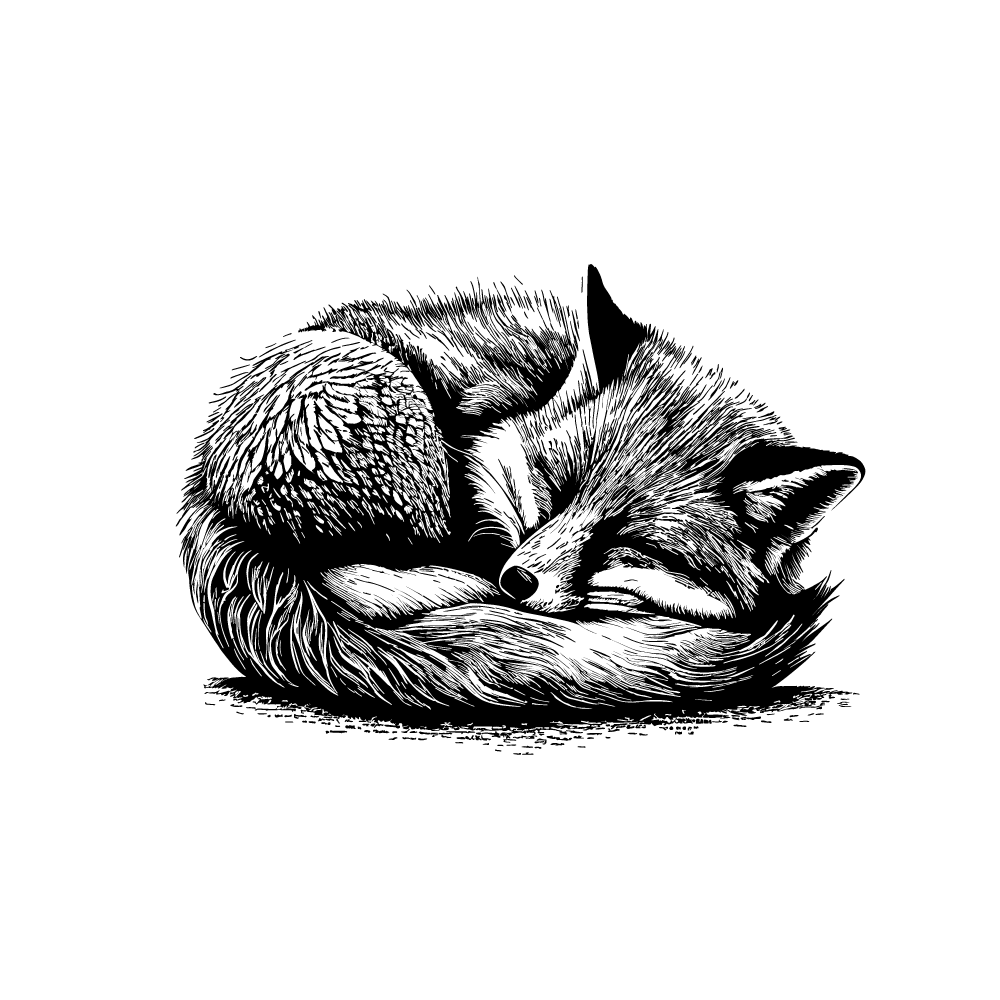 Fox Illustration Flyve